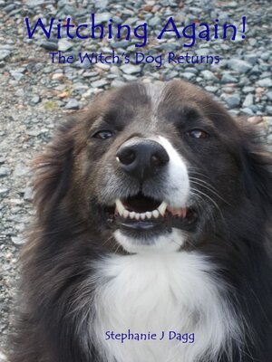 cover image of Witching Again!